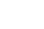 ENGVIS